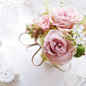 Marriage・Elephant